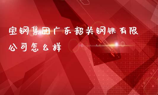 宝钢集团广东韶关钢铁有限公司怎么样_https://cj001.lansai.wang_财经问答_第1张