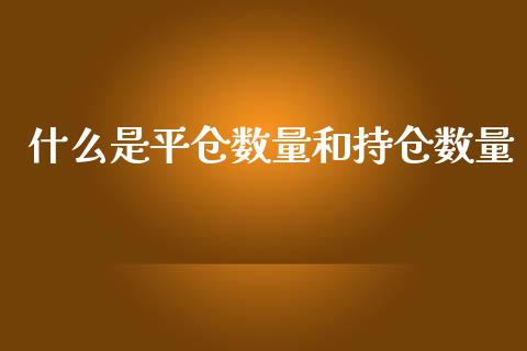 什么是平仓数量和持仓数量_https://cj001.lansai.wang_期货问答_第1张