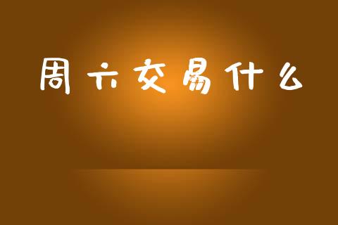 周六交易什么_https://cj001.lansai.wang_会计问答_第1张