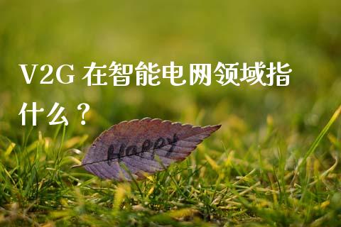 V2G 在智能电网领域指什么？_https://cj001.lansai.wang_股市问答_第1张