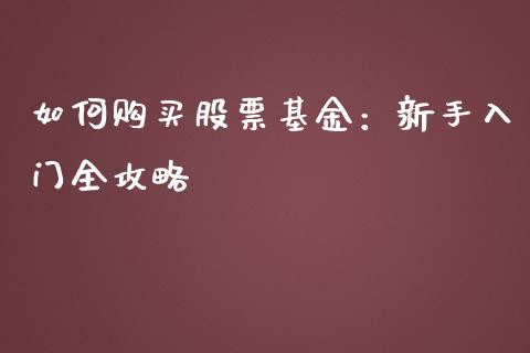 如何购买股票基金：新手入门全攻略_https://cj001.lansai.wang_保险问答_第1张
