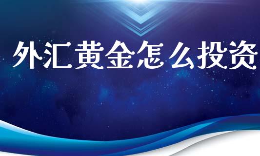 外汇黄金怎么投资_https://cj001.lansai.wang_财经问答_第1张