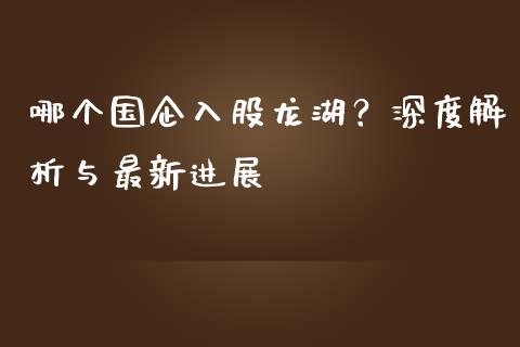 哪个国企入股龙湖？深度解析与最新进展_https://cj001.lansai.wang_财经百问_第1张