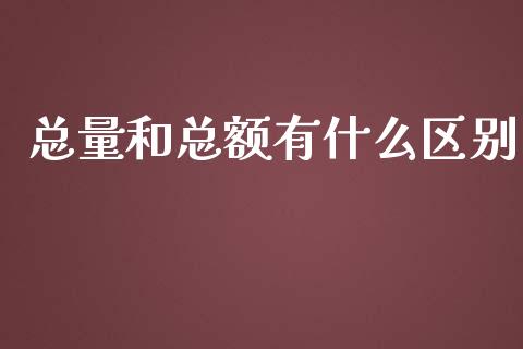 总量和总额有什么区别_https://cj001.lansai.wang_会计问答_第1张