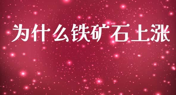 为什么铁矿石上涨_https://cj001.lansai.wang_会计问答_第1张