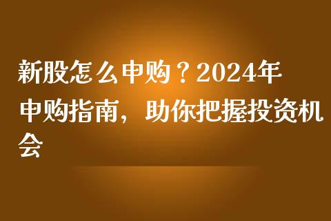 新股怎么申购？2024年申购指南，助你把握投资机会_https://cj001.lansai.wang_期货问答_第1张