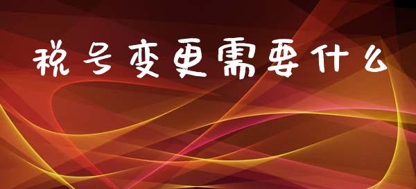 税号变更需要什么_https://cj001.lansai.wang_会计问答_第1张