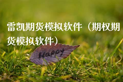 雷凯期货模拟软件（期权期货模拟软件）_https://cj001.lansai.wang_金融问答_第1张