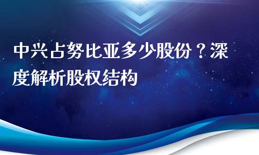 中兴占努比亚多少股份？深度解析股权结构_https://cj001.lansai.wang_财经问答_第1张