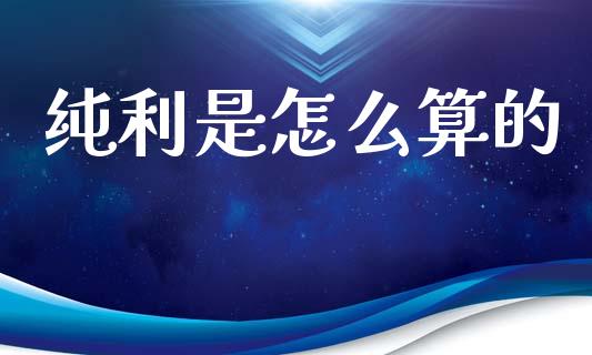 纯利是怎么算的_https://cj001.lansai.wang_会计问答_第1张