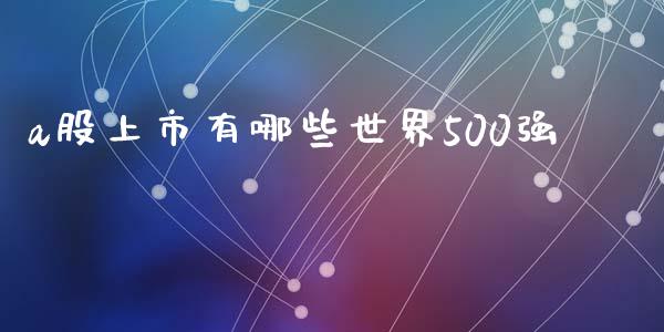 a股上市有哪些世界500强_https://cj001.lansai.wang_股市问答_第1张