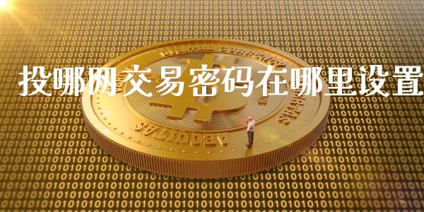 投哪网交易密码在哪里设置_https://cj001.lansai.wang_金融问答_第1张