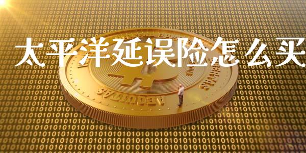 太平洋延误险怎么买_https://cj001.lansai.wang_保险问答_第1张