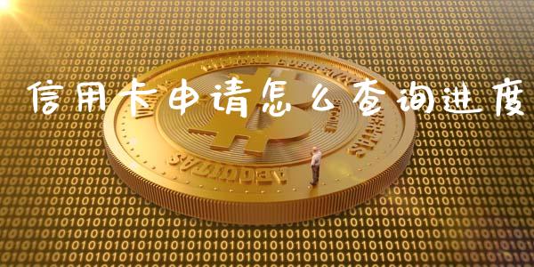 信用卡申请怎么查询进度_https://cj001.lansai.wang_金融问答_第1张