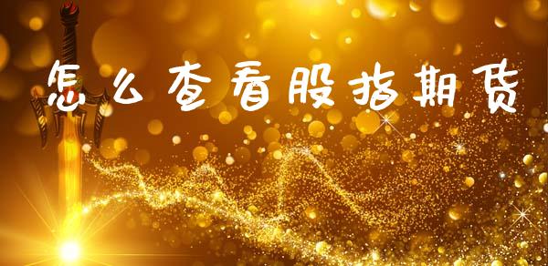 怎么查看股指期货_https://cj001.lansai.wang_理财问答_第1张