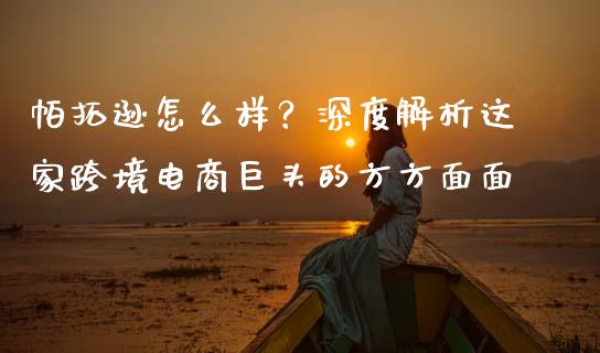 帕拓逊怎么样？深度解析这家跨境电商巨头的方方面面_https://cj001.lansai.wang_会计问答_第1张