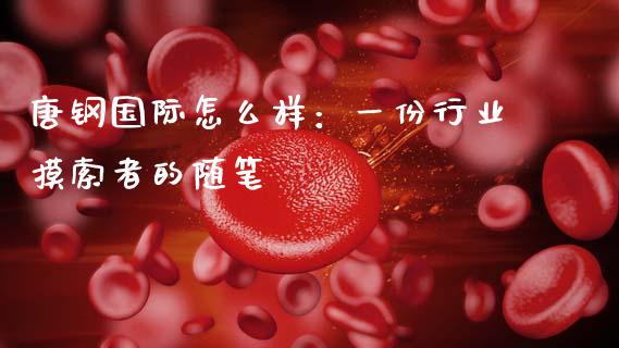 唐钢国际怎么样：一份行业摸索者的随笔_https://cj001.lansai.wang_财经问答_第1张