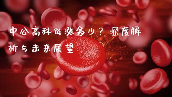 中公高科能涨多少？深度解析与未来展望_https://cj001.lansai.wang_期货问答_第1张
