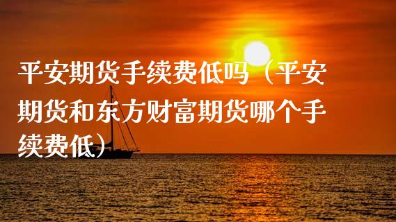 平安期货手续费低吗（平安期货和东方财富期货哪个手续费低）_https://cj001.lansai.wang_理财问答_第1张