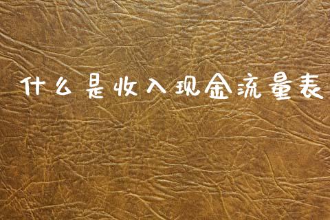 什么是收入现金流量表_https://cj001.lansai.wang_会计问答_第1张