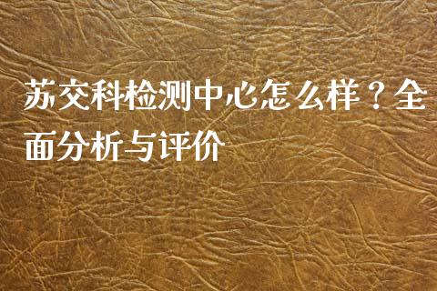 苏交科检测中心怎么样？全面分析与评价_https://cj001.lansai.wang_股市问答_第1张