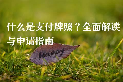 什么是支付牌照?全面解读与申请指南_期货问答_第1张_财经百问网 什么是支付牌照?全面解读与申请指南_https://cj001.lansai.wang_期货问答_第1张