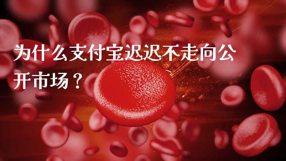 为什么支付宝迟迟不走向公开市场？_https://cj001.lansai.wang_财经百问_第1张