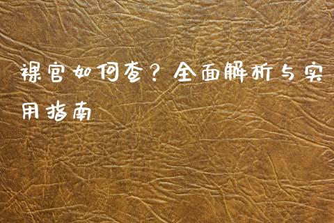 裸官如何查？全面解析与实用指南_https://cj001.lansai.wang_会计问答_第1张