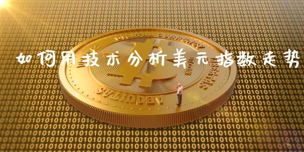 如何用技术分析美元指数走势_https://cj001.lansai.wang_期货问答_第1张