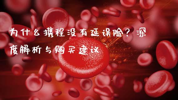 为什么携程没有延误险？深度解析与购买建议_https://cj001.lansai.wang_会计问答_第1张