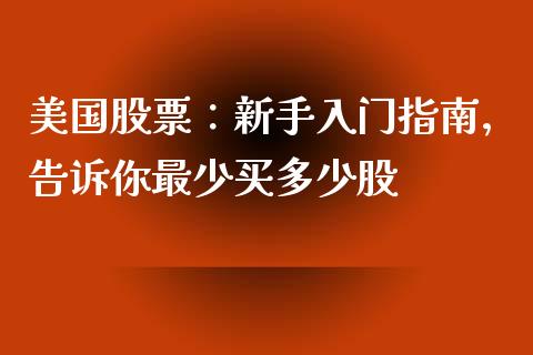 美国股票：新手入门指南，告诉你最少买多少股_https://cj001.lansai.wang_期货问答_第1张