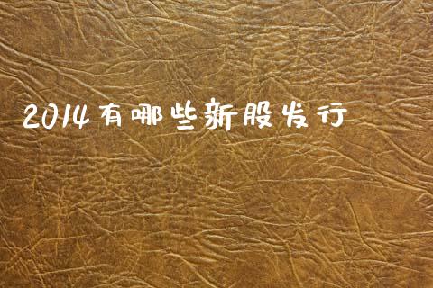 2014有哪些新股发行_https://cj001.lansai.wang_财经问答_第1张