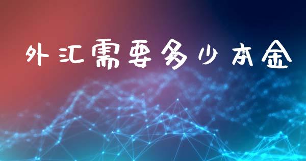 外汇需要多少本金_https://cj001.lansai.wang_财经问答_第1张
