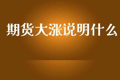 期货大涨说明什么_https://cj001.lansai.wang_财经问答_第1张