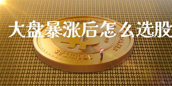 大盘暴涨后怎么选股_https://cj001.lansai.wang_股市问答_第1张
