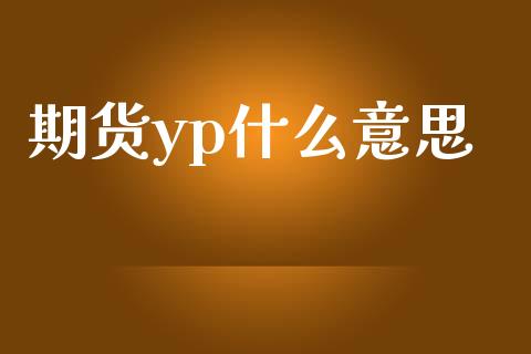 期货yp什么意思_https://cj001.lansai.wang_股市问答_第1张