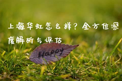 上海华虹怎么样？全方位深度解析与评估_https://cj001.lansai.wang_保险问答_第1张