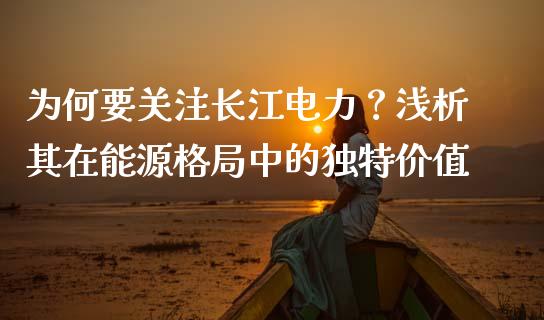 为何要关注长江电力？浅析其在能源格局中的独特价值_https://cj001.lansai.wang_财经百问_第1张