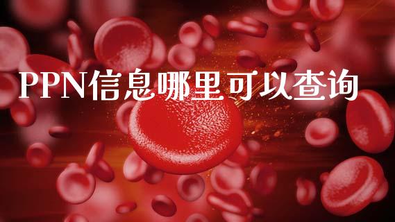 PPN信息哪里可以查询_https://cj001.lansai.wang_股市问答_第1张