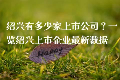 绍兴有多少家上市公司？一览绍兴上市企业最新数据_https://cj001.lansai.wang_财经百问_第1张