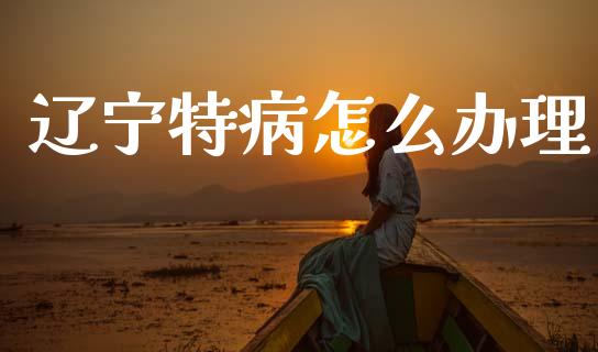 辽宁特病怎么办理_https://cj001.lansai.wang_保险问答_第1张