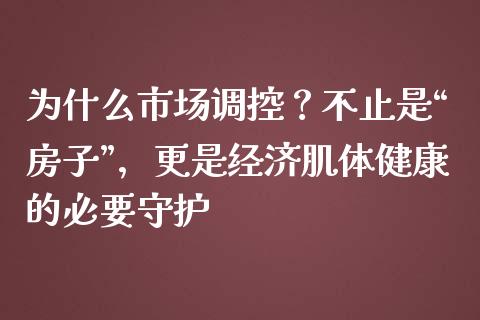 为什么市场调控？不止是“房子”，更是经济肌体健康的必要守护_https://cj001.lansai.wang_会计问答_第1张