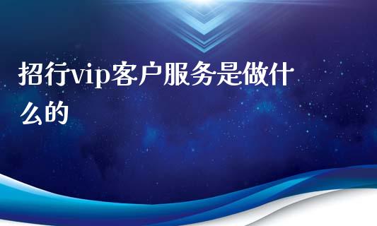 招行vip客户服务是做什么的_https://cj001.lansai.wang_金融问答_第1张