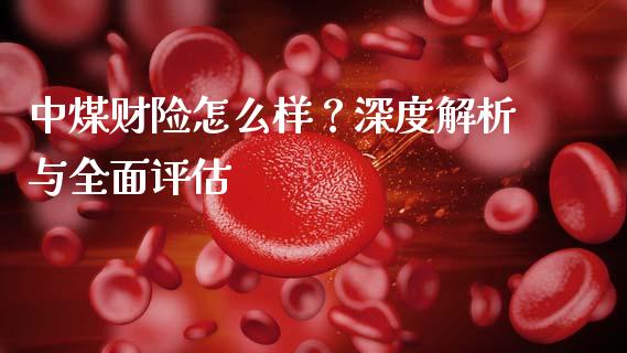 中煤财险怎么样？深度解析与全面评估_https://cj001.lansai.wang_期货问答_第1张