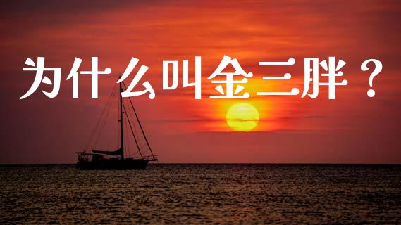 为什么叫金三胖？_https://cj001.lansai.wang_会计问答_第1张