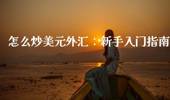 怎么炒美元外汇:新手入门指南_期货问答_第1张_财经百问网 怎么炒美元外汇:新手入门指南_https://cj001.lansai.wang_期货问答_第1张