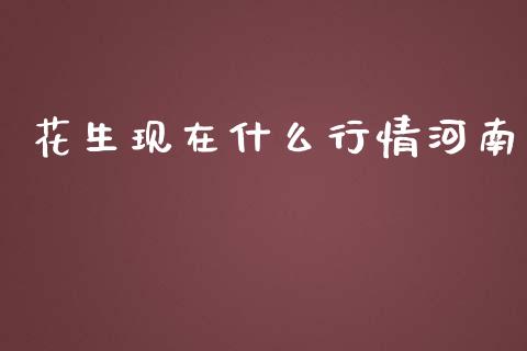 花生现在什么行情河南_https://cj001.lansai.wang_财经问答_第1张