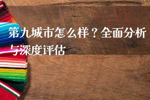 第九城市怎么样？全面分析与深度评估_https://cj001.lansai.wang_理财问答_第1张