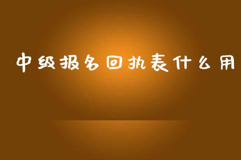 中级报名回执表什么用_https://cj001.lansai.wang_会计问答_第1张