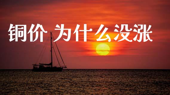 铜价 为什么没涨_https://cj001.lansai.wang_金融问答_第1张